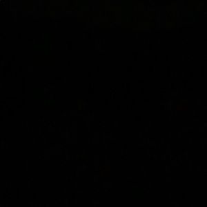 Meet your Posher, Daphne